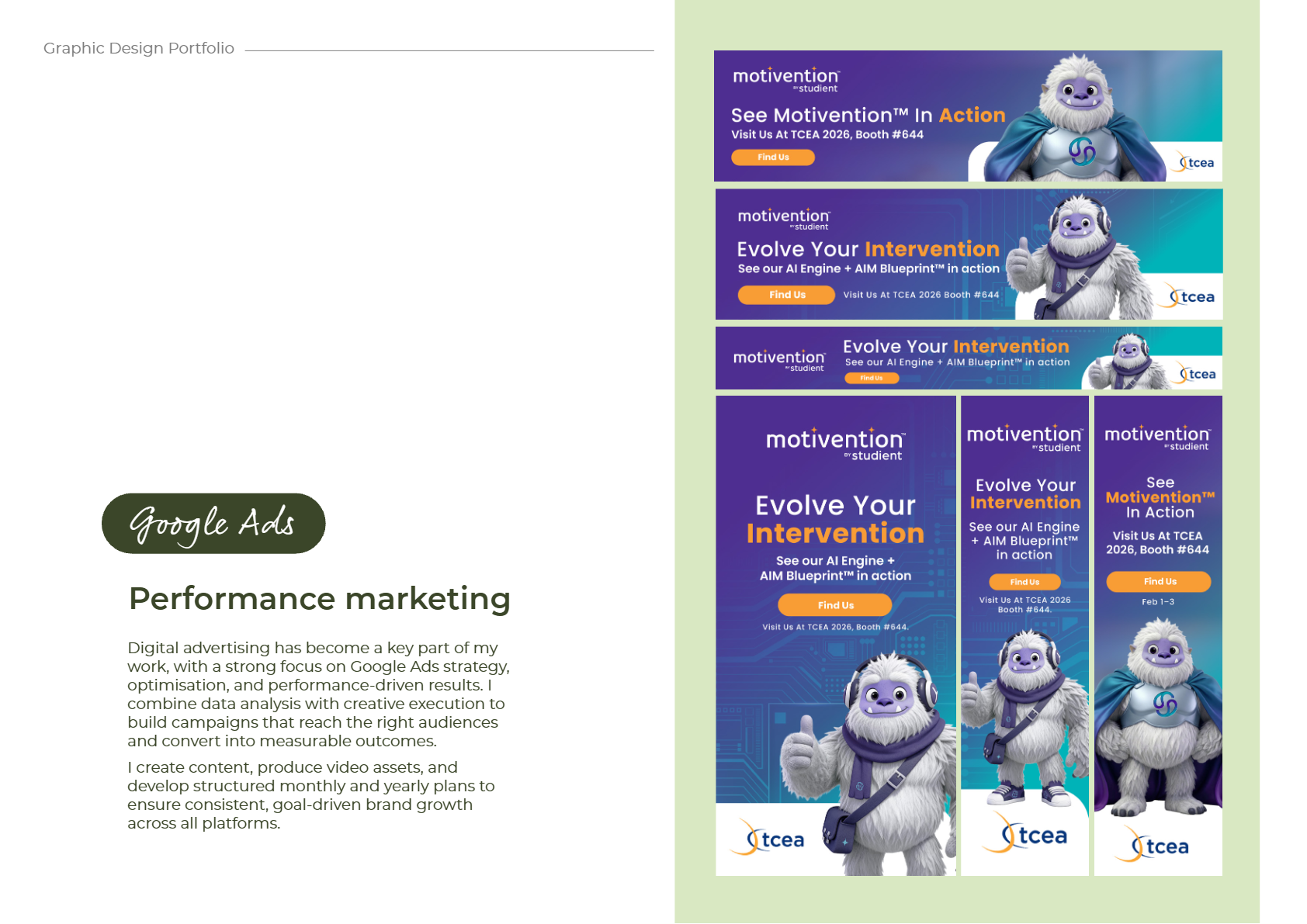 Google Ads Portfolio